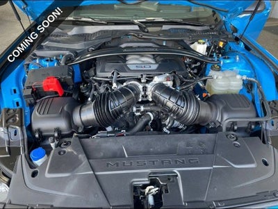 2024 Ford Mustang Dark Horse