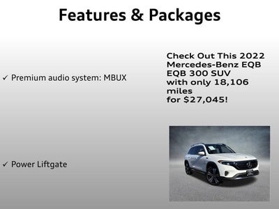 2022 Mercedes-Benz EQB EQB 300