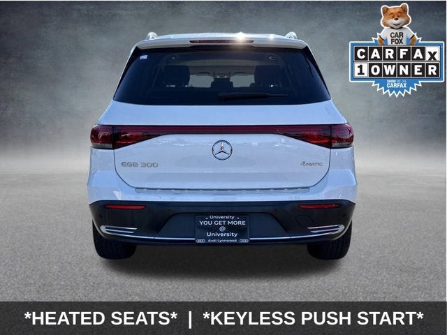 2022 Mercedes-Benz EQB EQB 300