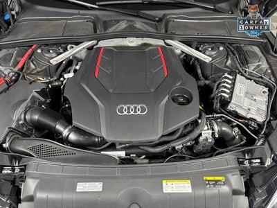 2023 Audi S5 Sportback Premium Plus
